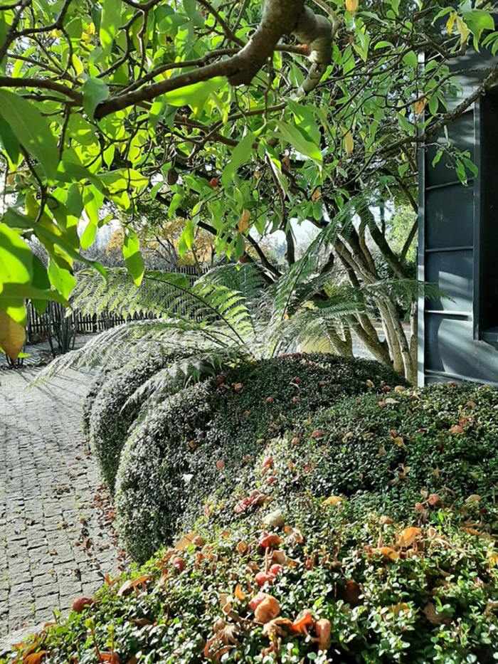 Visite découverte du Jardin Callarec, Jardin de l’Atelier Callarec, Troguéry