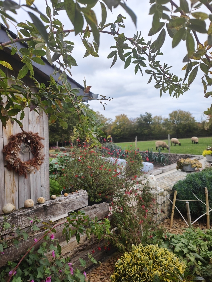 Visite découverte du jardin de Delphine Du Berry, Lieu-dit La Chapitière, Barlieu
