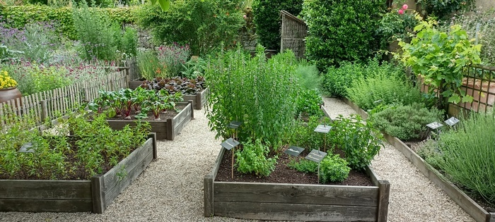 Visite découverte du Jardin de Jeanne Jardin de Jeanne Homps