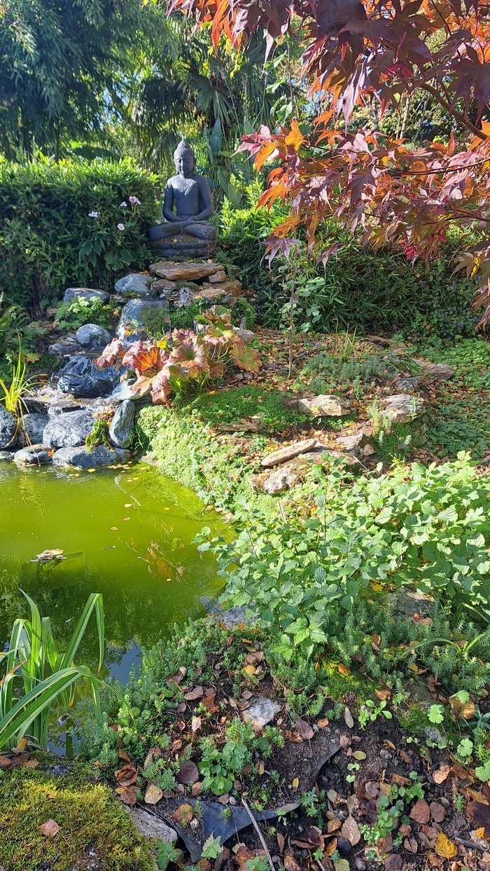 Visite découverte du jardin de l’été Indien, Montlouis sur Loire 37270, Montlouis-sur-Loire