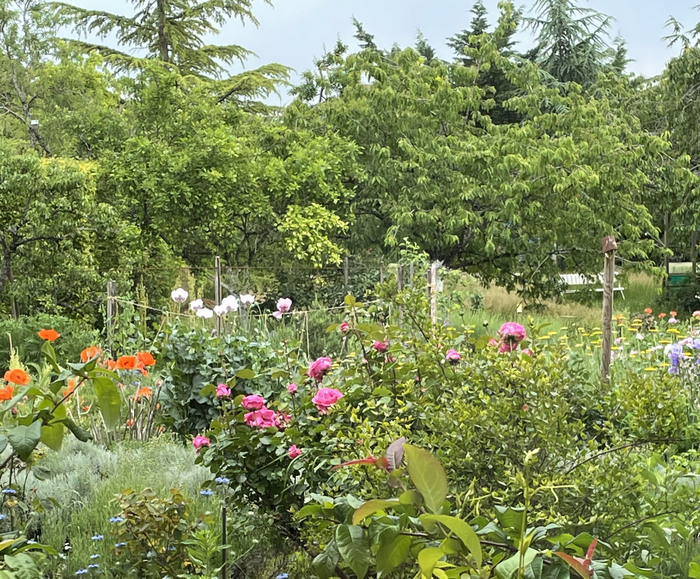 Visite découverte du Jardin des Cras Le Jardin des Cras Marsannay-la-Côte