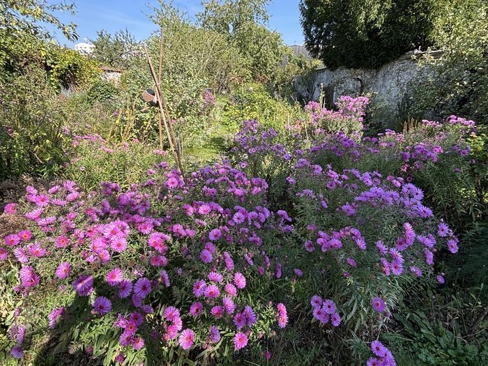 Visite découverte du jardin Jardin du côté des roches brunes Montreuil