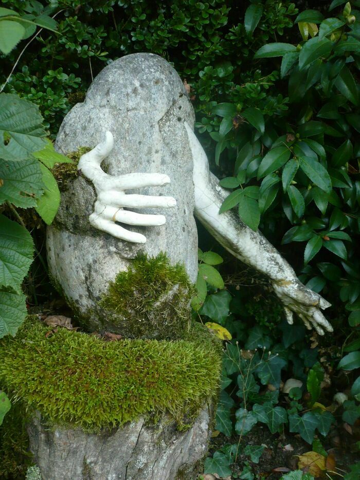 Visite découverte du jardin Le jardin de Lacombe Lagraulière