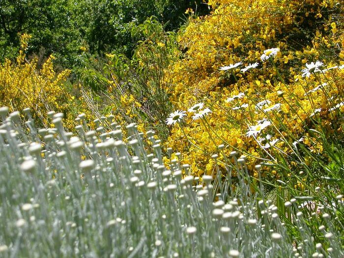 Visite découverte du jardin, Le Jardin raconté, Brive-la-Gaillarde