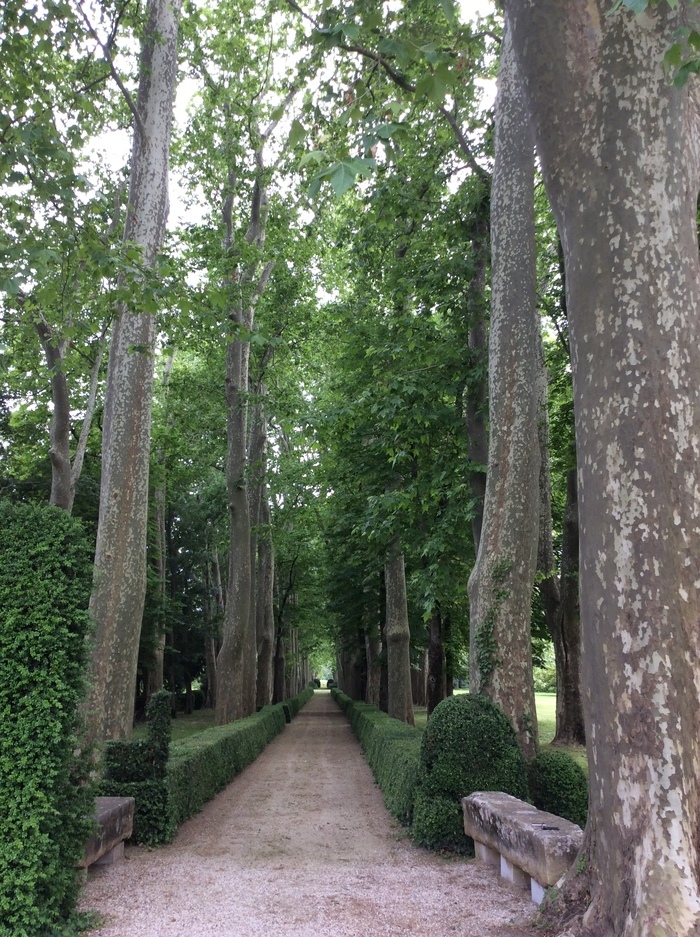 Visite découverte du Parc du Domaine de La Tour Parc du domaine de la Tour Saint-Chaptes