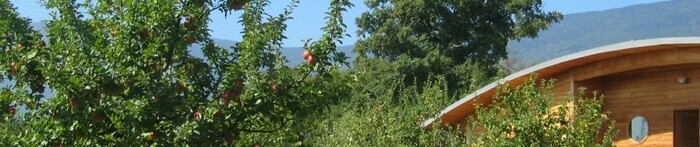 Visite découverte du verger de sauvegarde des variétés anciennes Le verger Tiocan Péron
