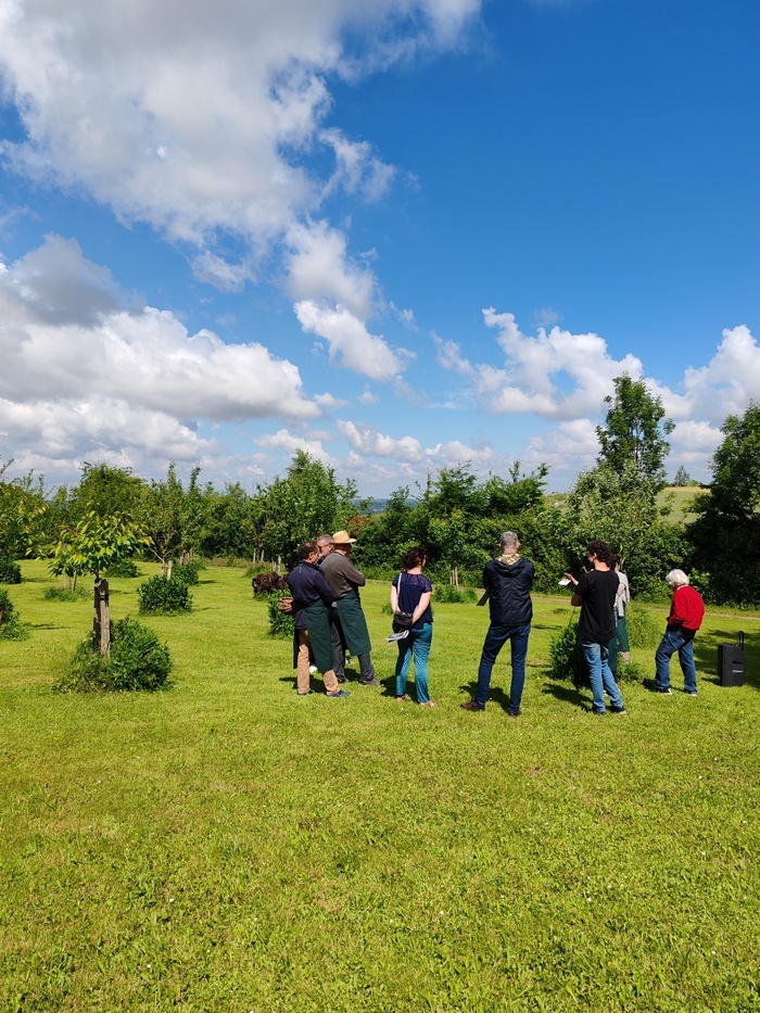 Visite découverte du verger et des vignes de Claracq, Le Musée gallo-romain, Claracq