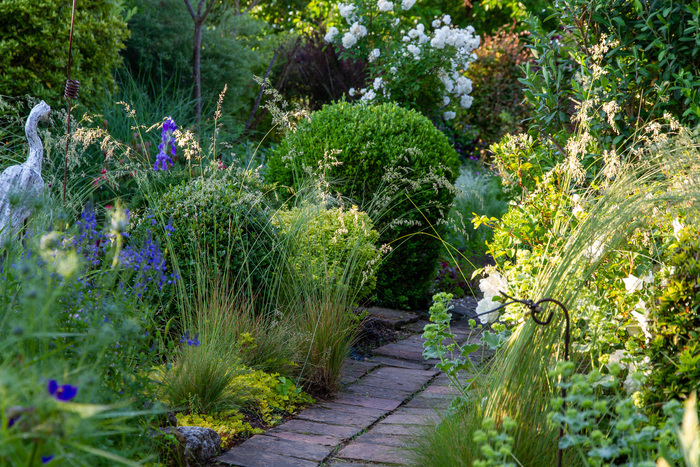 Visite découverte d'un jardin de couleurs et d'odeurs