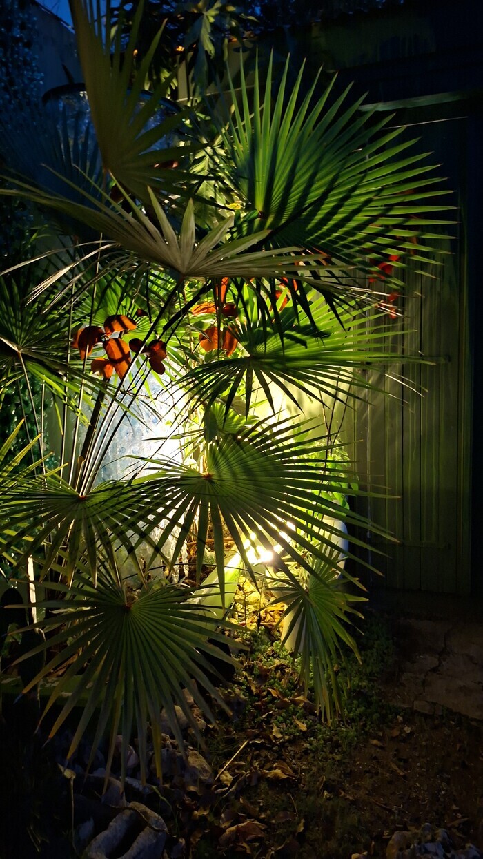 visite dédiée à la   jeunesse, Jardin de la Maison d&rsquo;Artiste 97121, Anse-Bertrand