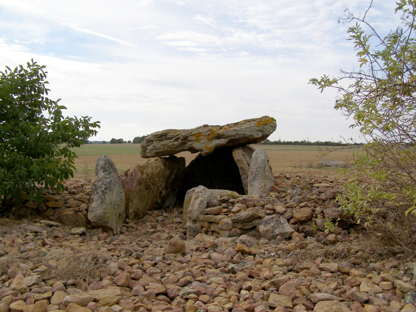 Visite des domens de la nécropole de Monpalais  Plaine-et-Vallées