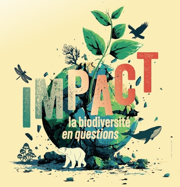 Visite des expositions de l&rsquo;espace des Sciences, Espace des sciences – Salles d&rsquo;exposition, Rennes