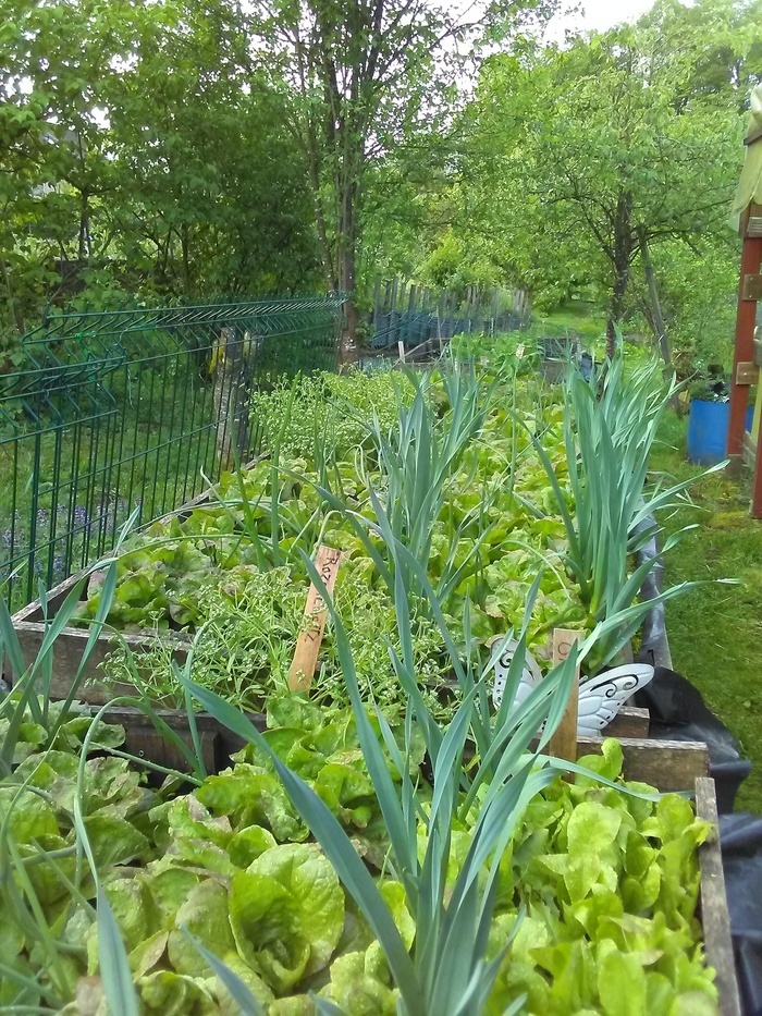 Visite des jardins de Fraîche-Comté Les jardins de Fraîche-Comté Roset-Fluans