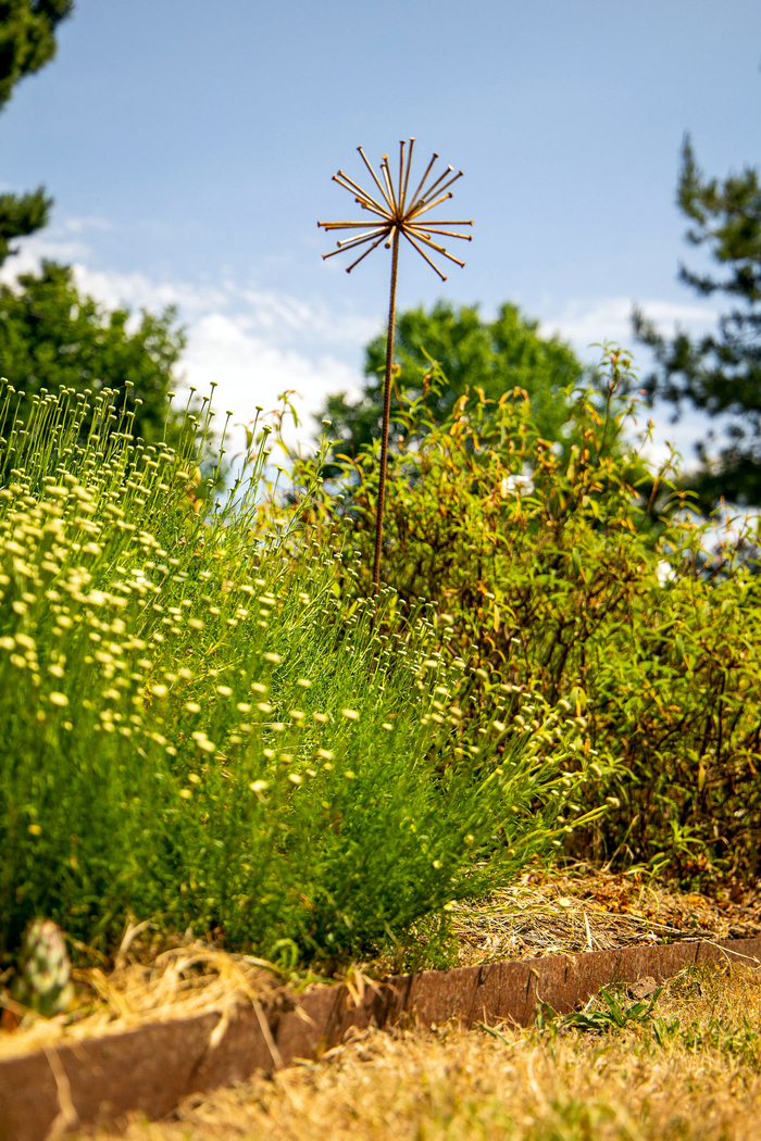 Visite des Jardins de La Bruyère, Les Jardins de La Bruyère, Plaintel