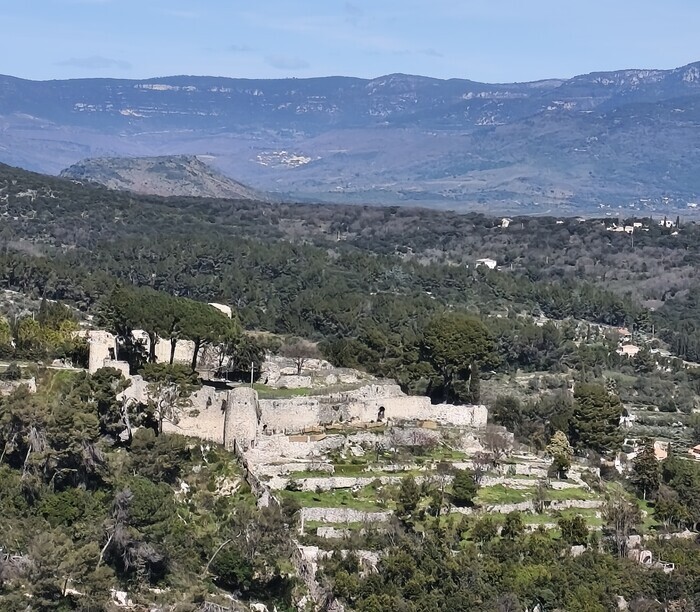 Visite des jardins du château des Guilhem Chateau des Guilhem