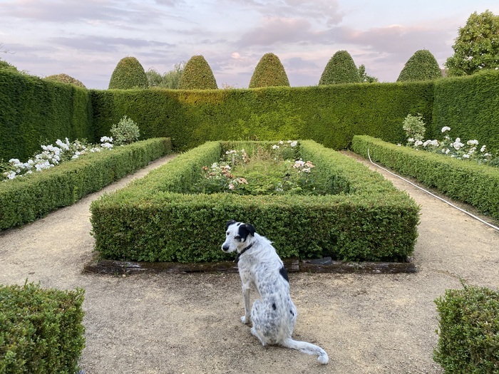 Visite des jardins du prieuré Les jardins du prieuré