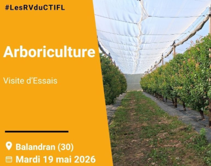 Visite d’Essais arboriculture, CTIFL – 751 Chemin de Balandran – Bellegarde (30), Bellegarde