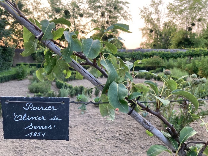 Visite didactique du verger conservatoire, Jardins de La Croze, Billom
