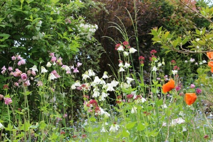 Visite du jardin « À la croisée des sens », Jardin « À la croisée des Sens », Fontaine-Française