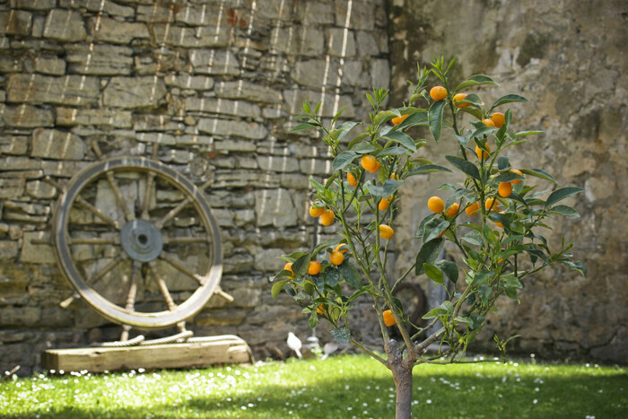 Visite du Jardin Botanique de Balaguier Musée Balaguier La Seyne-sur-Mer