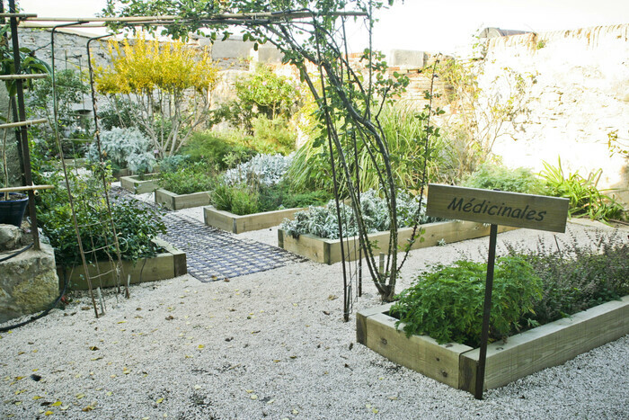 Visite du Jardin Botanique de Balaguier – Tamaris vu par George Sand.
Une sensibilité écologique et romantique, Musée Balaguier, La Seyne-sur-Mer