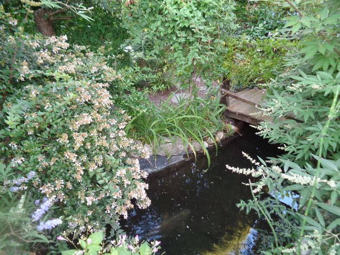 Visite du jardin botanique Le Clos fleuri, Le clos fleuri, Chabeuil