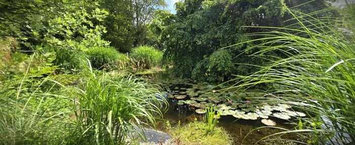 Visite du Jardin Botanique Lepage 'Bord de Mer' Jardin et Pépinière Lepage Bord de Mer Pleumeur-Bodou