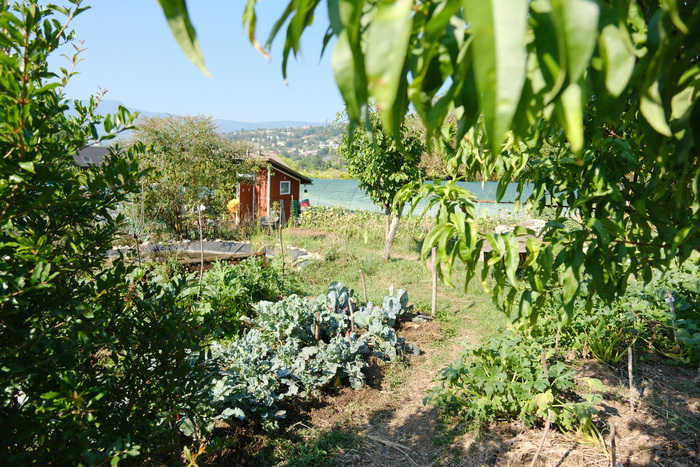 Visite du Jardin d&rsquo;Andrée, au profit de l&rsquo;association Jardin et Santé, Jardin d&rsquo;Andrée, Saint-Alban-Leysse