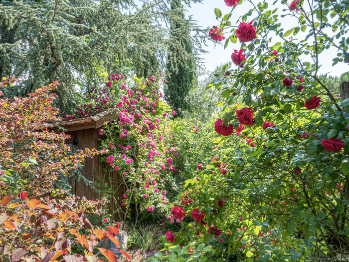 Visite du Jardin de Boissonna, Jardin de Boissonna, Baleyssagues
