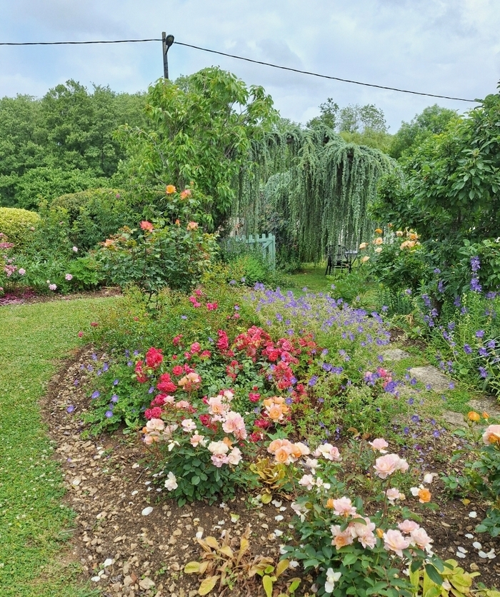 Visite du jardin de Ginette Bethery à Chablis, Jardin de Ginette Bethery, Chablis