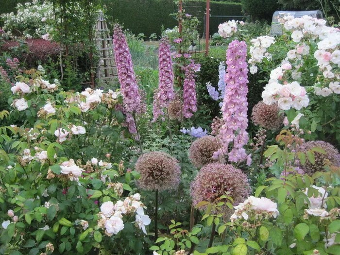 Visite du jardin de la Cardonnerie Découvrez le jardin de la Cardonnerie Bersée