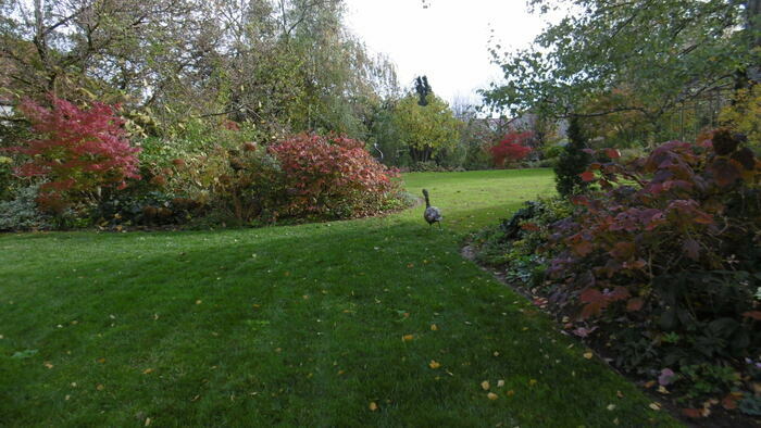 Visite du jardin de la Clochette, Jardin de la Clochette, Charmes