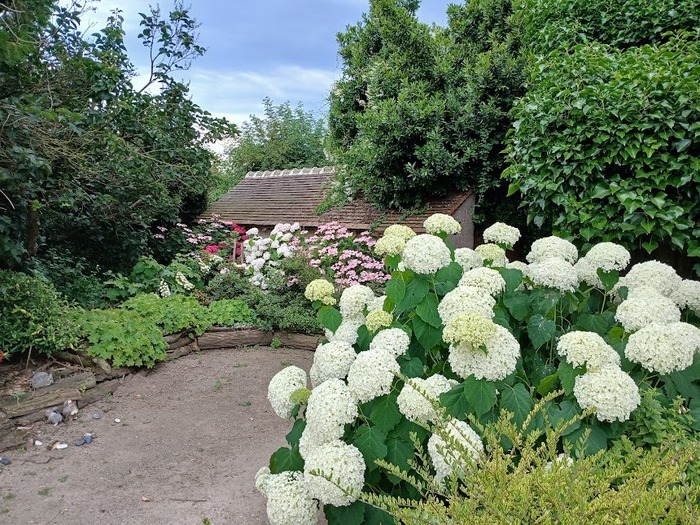 Visite du jardin de Martine POGGI Jardin de Martine Poggi Bray-Saint-Aignan