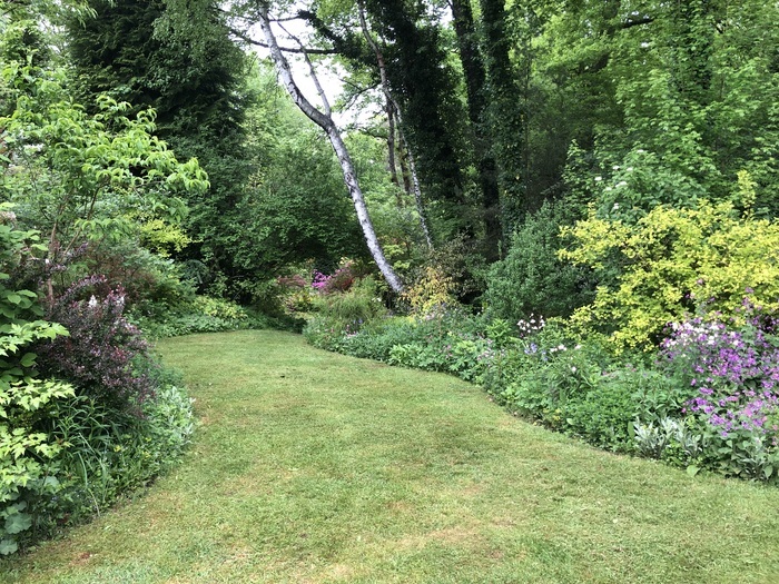 Visite du Jardin des bois Jardin des Bois Latronche