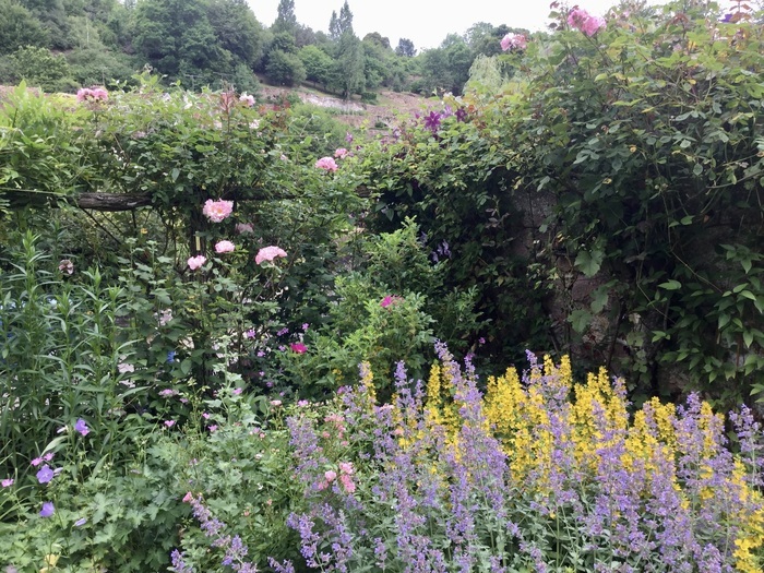 Visite du jardin des Clématites, Jardin des Clématites, Semur-en-Auxois