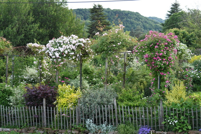 Visite du jardin des Nouvelles Le jardin des Nouvelles Arbois