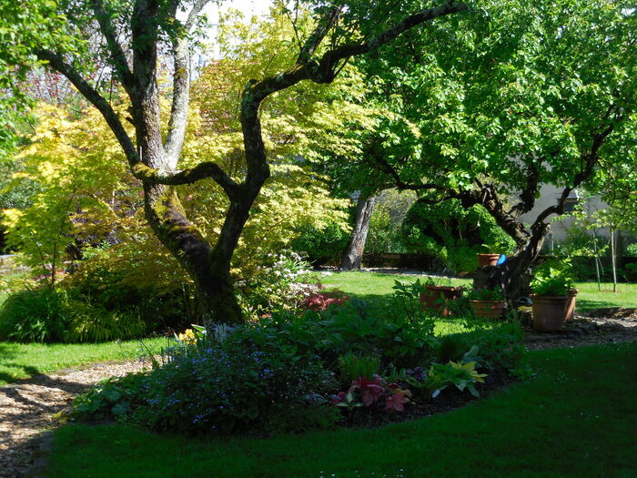 Visite du Jardin du Chat Perché Jardin du Chat perché Longwy-sur-le-Doubs
