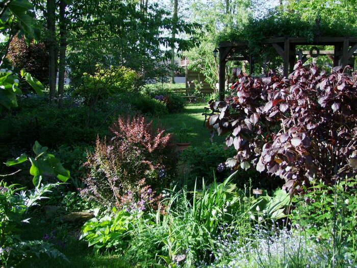 Visite du jardin Farandole pour un Curieux Jardin Farandole pour un curieux Bischwiller