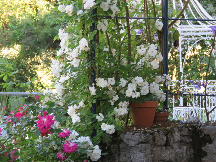 Visite du jardin, Jardin des Mille Temps, Chilleurs-aux-Bois