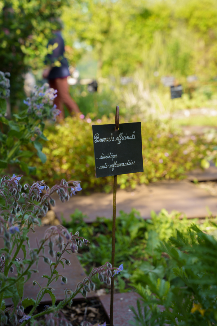 Visite du jardin médicinal de La Roche-Jagu, Château de la Roche-Jagu, Ploëzal