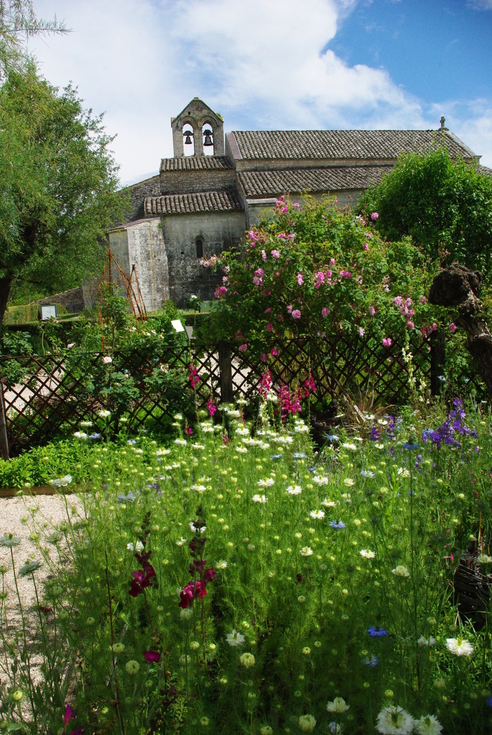 Visite du jardin médiéval par Claude Siméon, botaniste, Salagon, musée et jardins, Mane