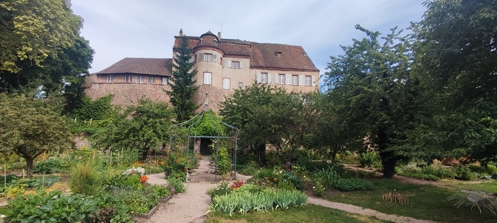 Visite du jardin partagé des remparts de Saverne, Le Jardin partagé des Remparts, Saverne