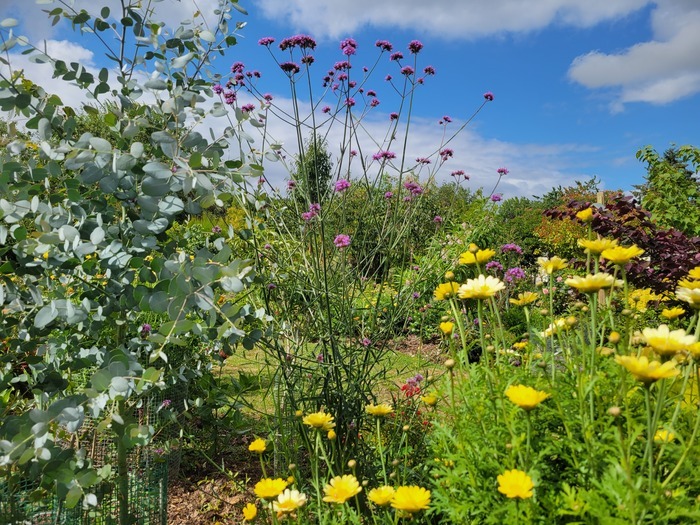Visite du jardin "Un Écrin de Florilèges" Un Écrin de Florilèges Saint-Venant