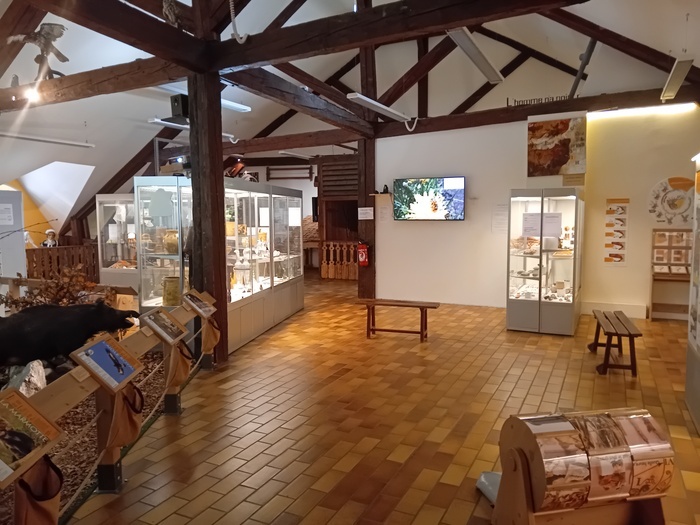 Visite du Musée Patrimonial du Pays de Thônes, Musée Patrimonial du Pays de Thônes et bibliothèque multimédia, Thônes