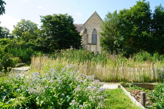 Visite du parc et du jardin permacole de l'Abbaye Royale de l'Epau Abbaye royale de l'Épau Le Mans
