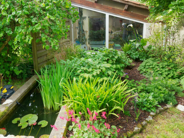 Visite du petit jardin d’une ikebaniste, Le jardin d’une ikebaniste, La Rochelle