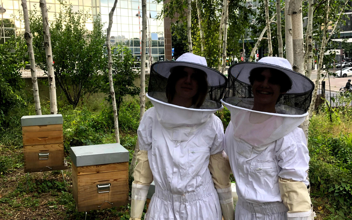 Visite du rucher du Parc André-Citroën Parc André Citroën Paris