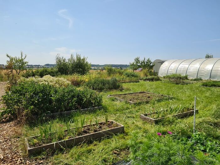 Visite du site de production maraîchère et aperçu sur l’infrastructure et la gestion des ressources communales Jardin maraîcher Vum Gréis Berchem