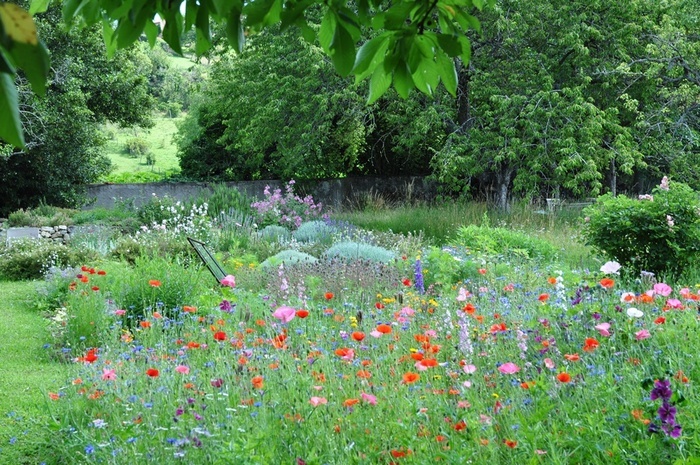 Visite d’un ancien verger transformé en jardin, Les 3 Clochers, Teilhède