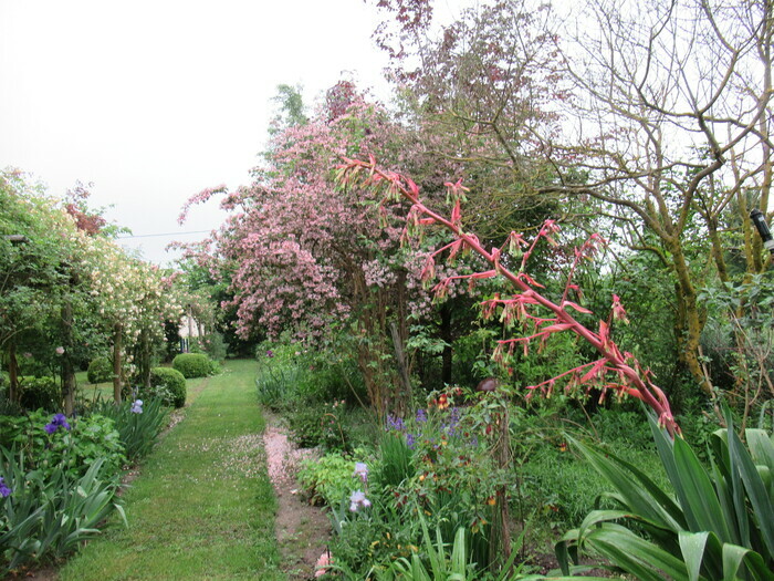 Visite d&rsquo;un jardin bucolique, entre vivaces, arbustes, fleurs, et parfum des roses., Le Jardin de Mireille, Auriac-sur-Dropt