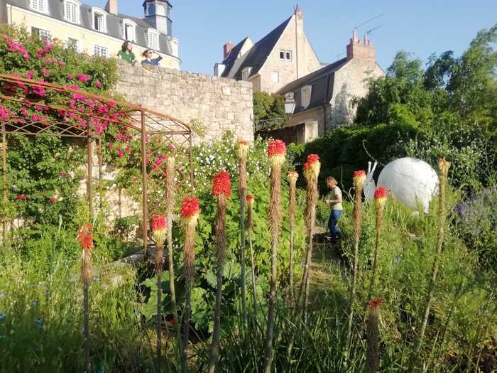 Visite d'un jardin d'inspiration médiévale Le jardin des simples Le Mans